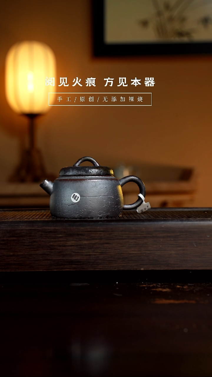 【闪购商品】863惊蛰壶           