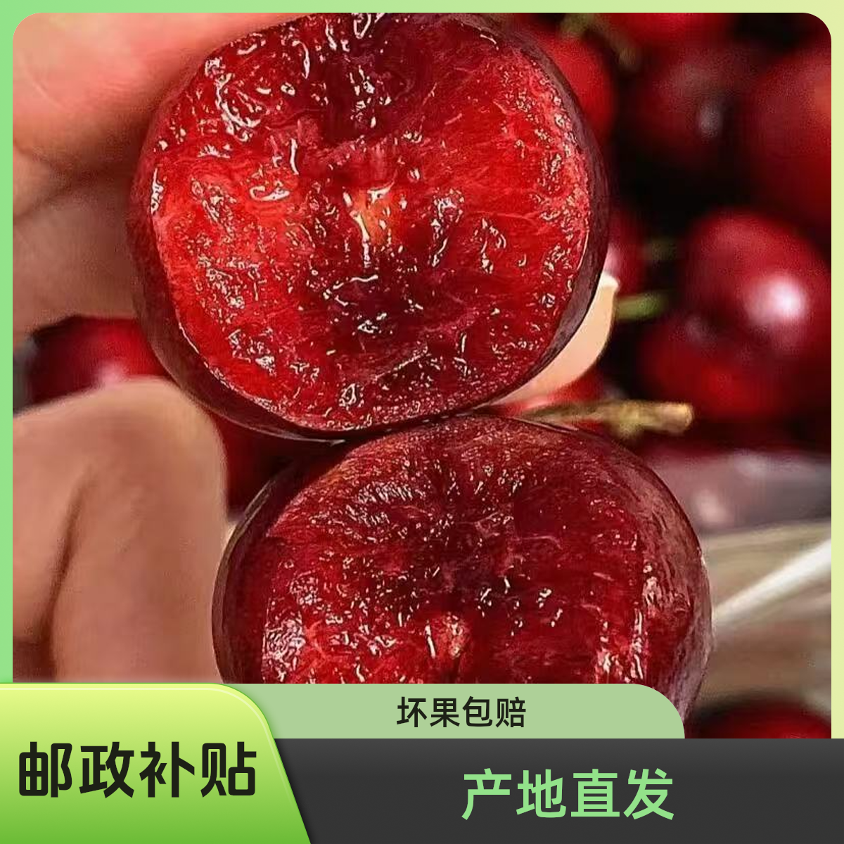【日照邮政补贴】A新鲜采摘山东美早大樱桃应季水果冷链产地直发