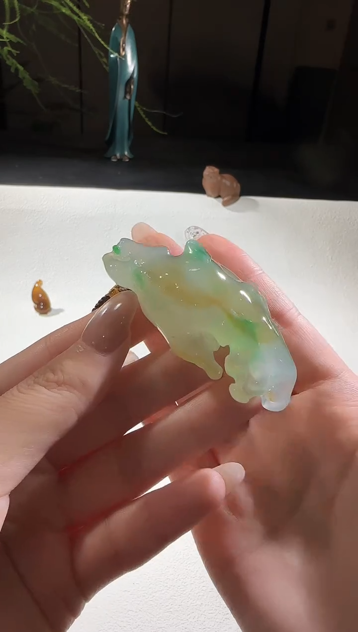 翡翠未镶嵌颈饰【鑫鑫】