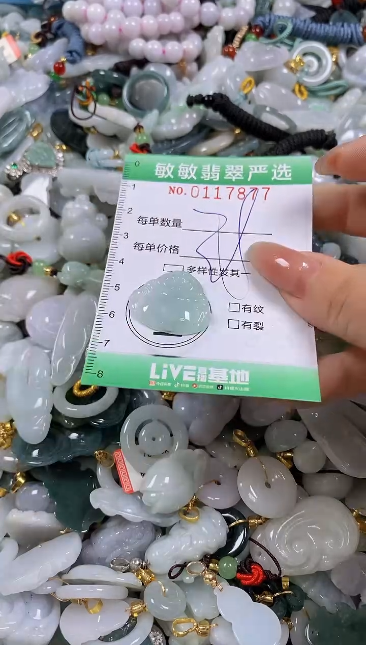 【闪购商品】翡翠颈饰未镶嵌闪购0117877