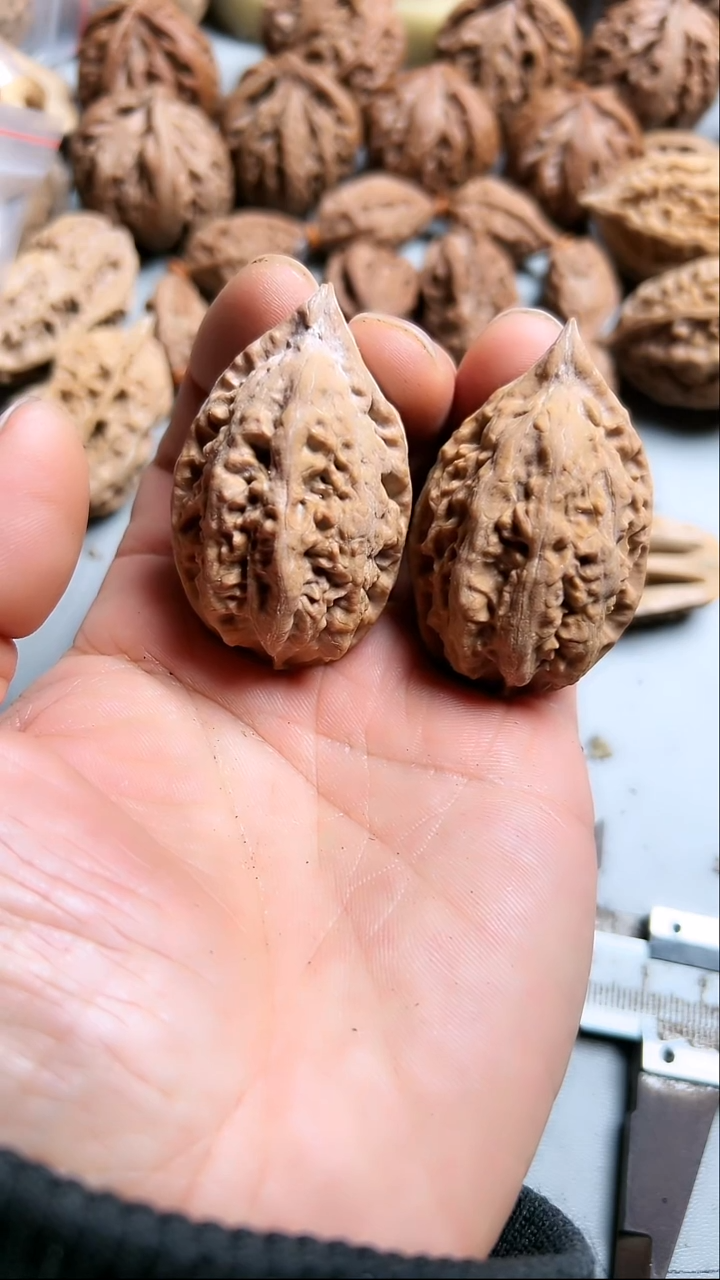 核桃东北野生大秋子1