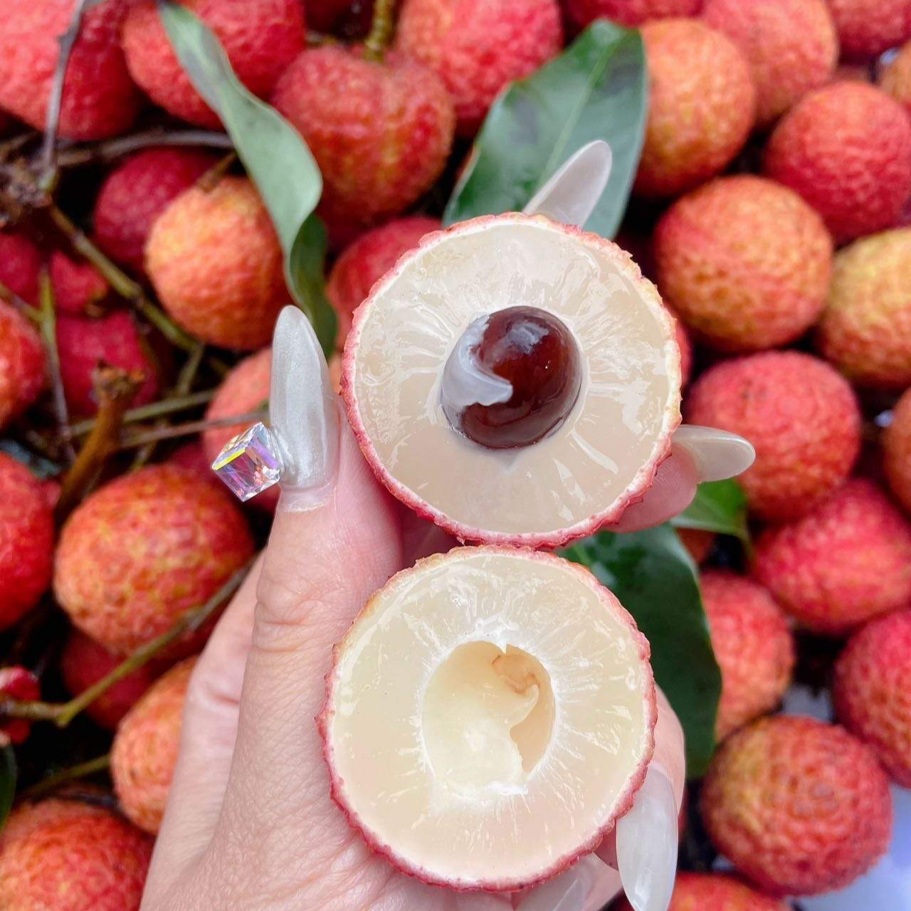 【甜甜宠粉专属】海南白糖罂荔枝 神甜无酸 果肉晶莹剔透 应急爆款水果2/4/6.5斤荔枝同城送新鲜