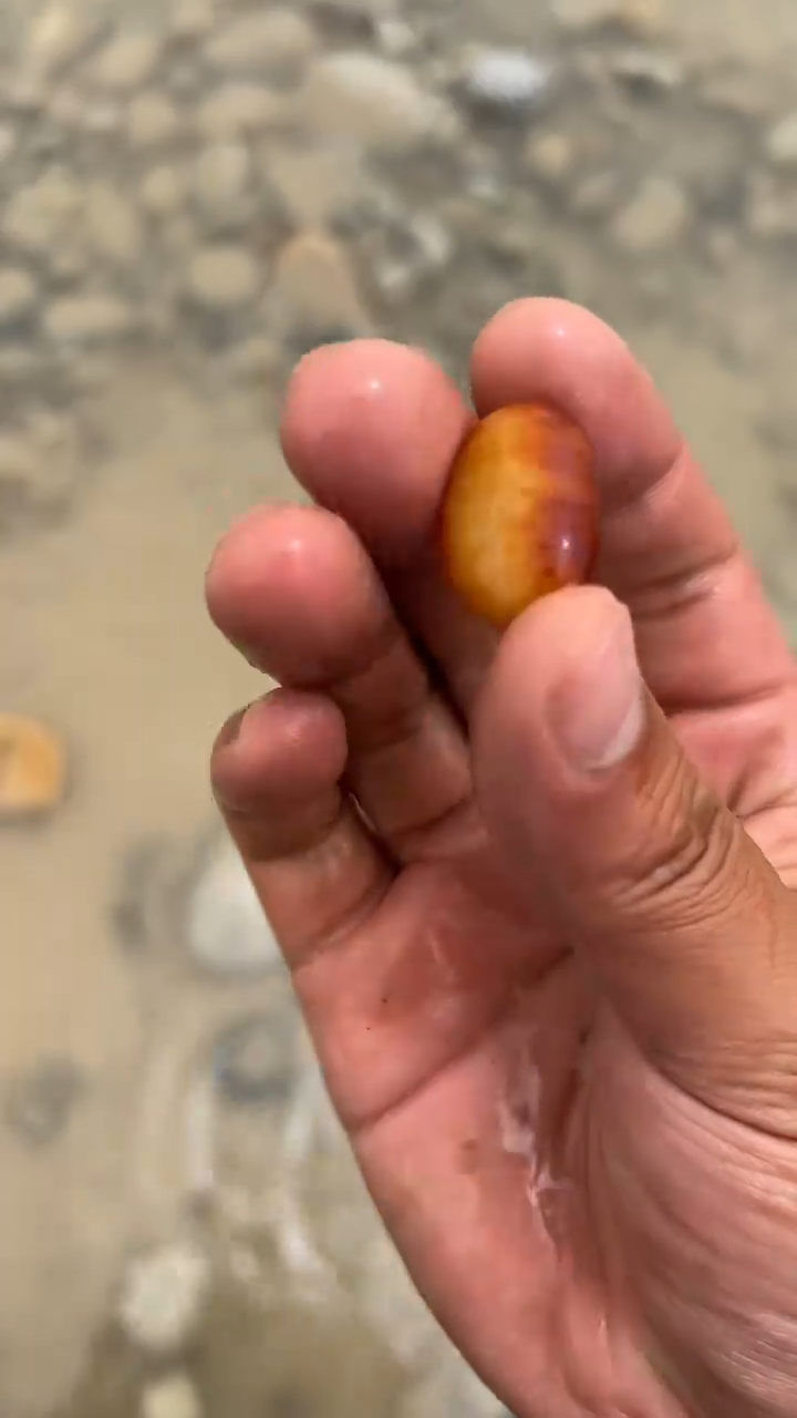 新疆和田小籽石一物一拍  7