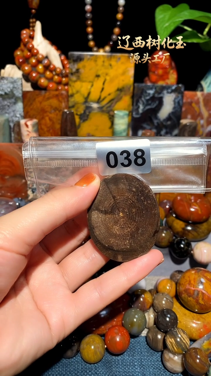 未镶嵌-硅化玉天然北票硅化玉吊坠