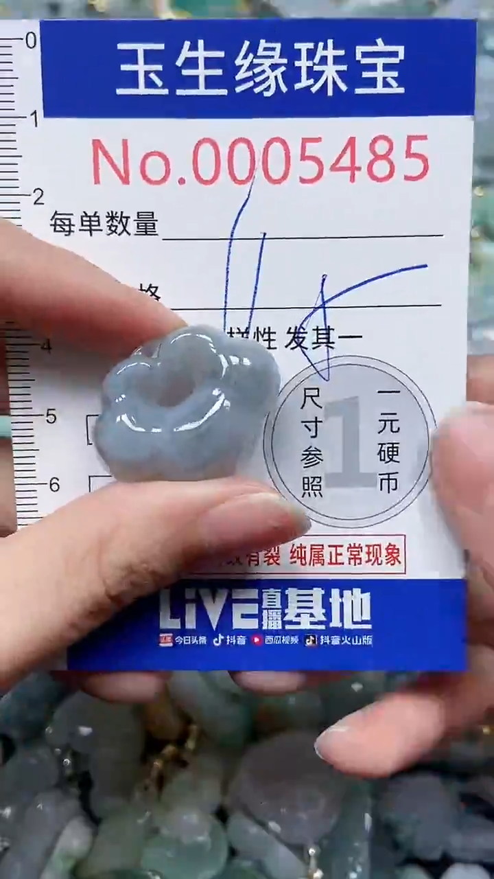 【闪购商品】翡翠颈饰未镶嵌闪购5485