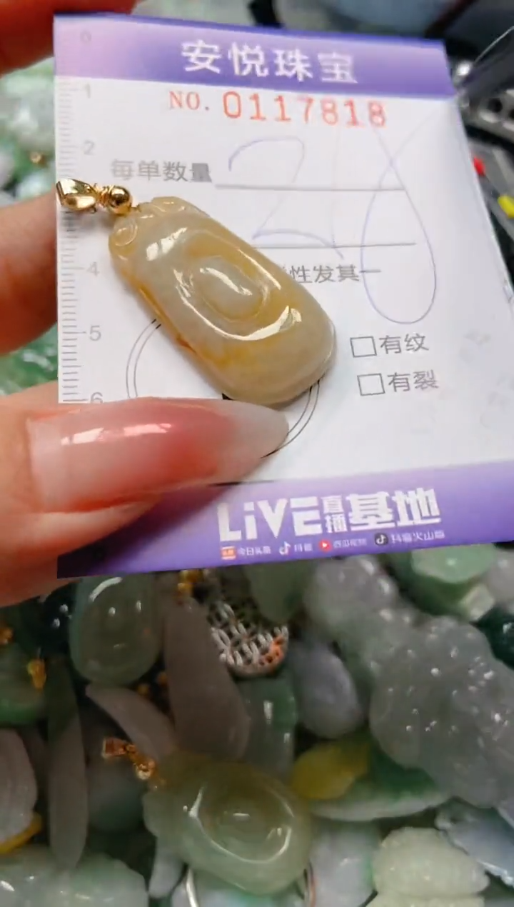 【闪购商品】翡翠颈饰未镶嵌闪购0117818