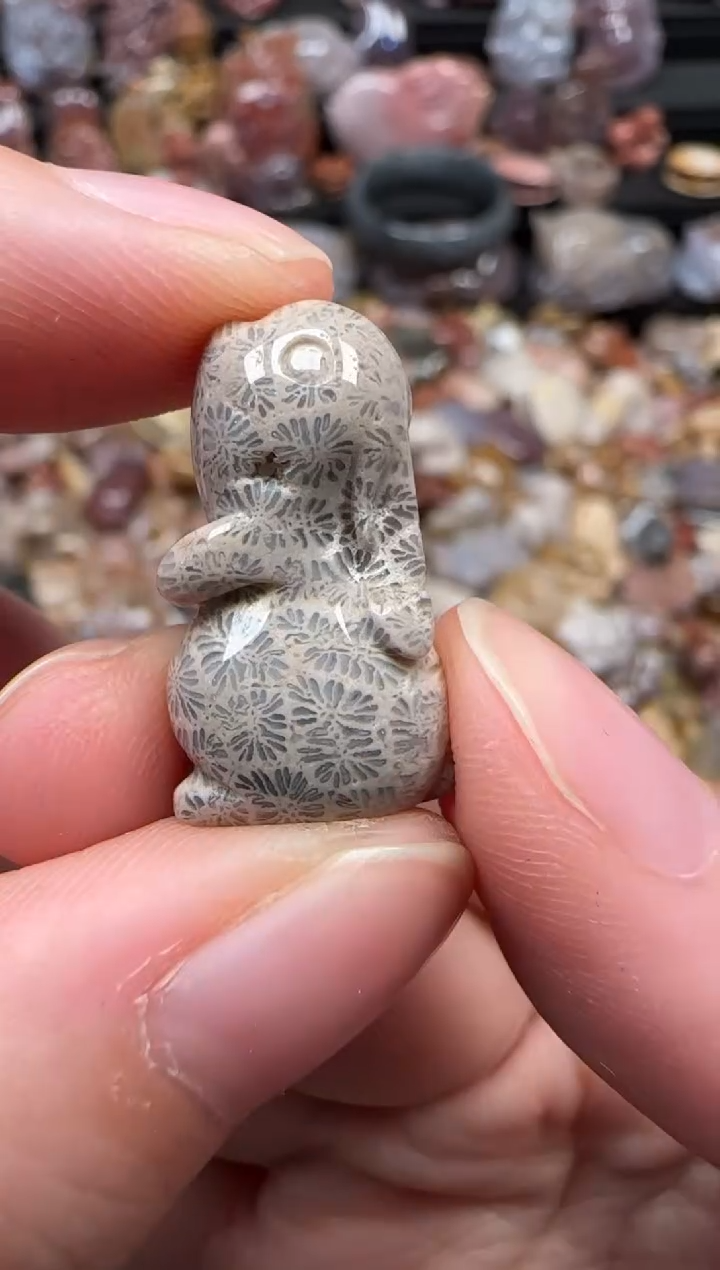 颈饰未镶嵌硅化珊瑚（珊瑚玉）035