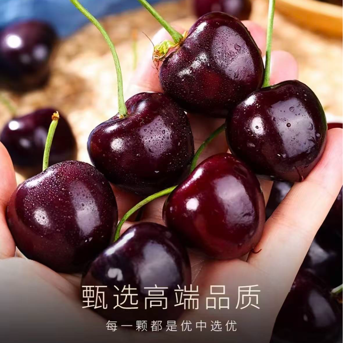 【空运头茬】桑提娜智利进口车厘子4斤顺丰包邮1-4J 内附果径卡桑提娜樱桃智利共和国