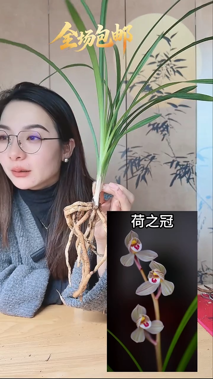 当前无花栽培后可以开花用****5：荷之冠