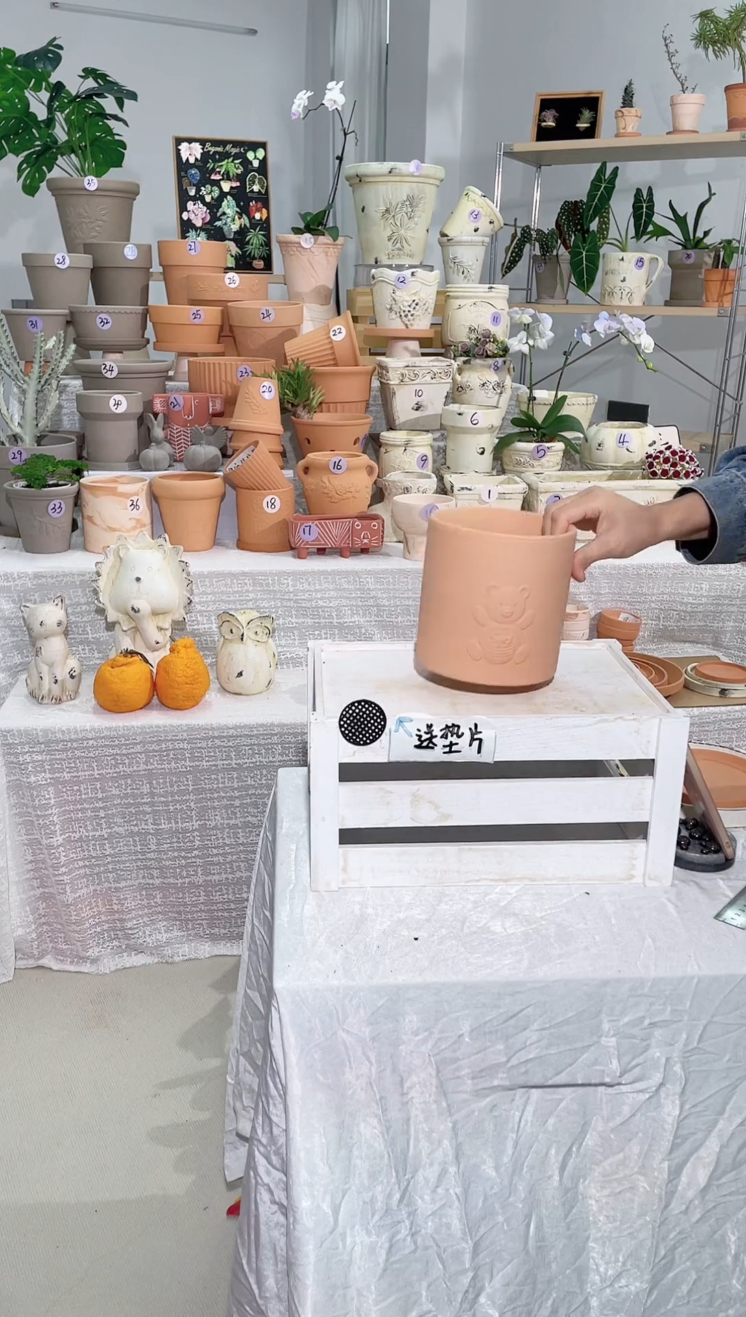 【闪购商品】陶1个无托 红陶直筒熊口径15*15