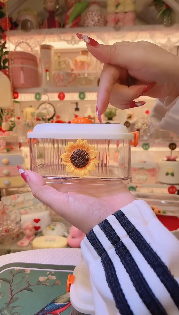 开播福利，仅剩一件！向日葵大料收纳盒