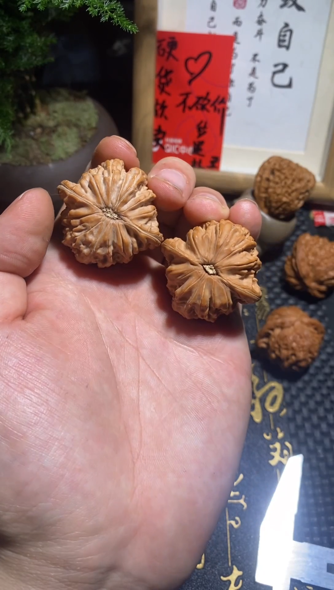 文玩核桃把件39全品磨盘