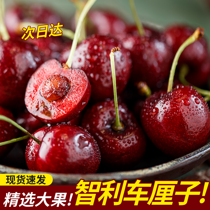智利空运车厘子桑提娜4JD净重5斤京东顺丰次日达（内附果径卡）桑提娜樱桃智利共和国