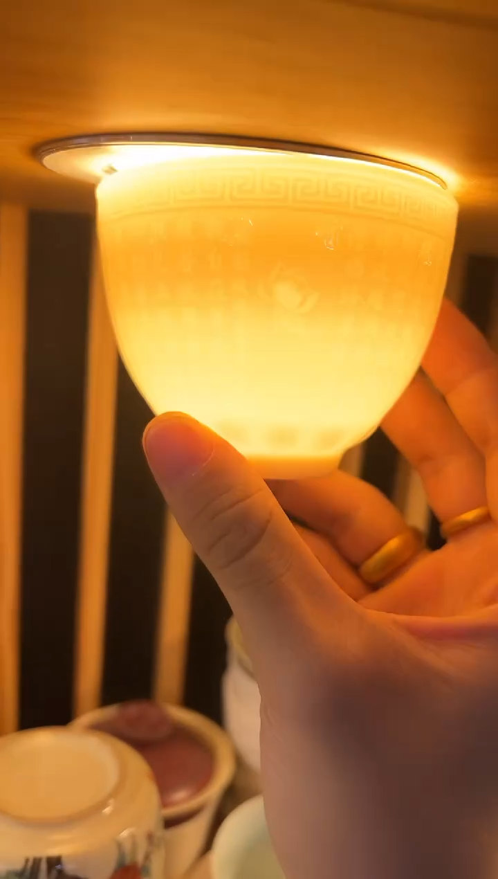 瓷片陶瓷茶器孤品A0951