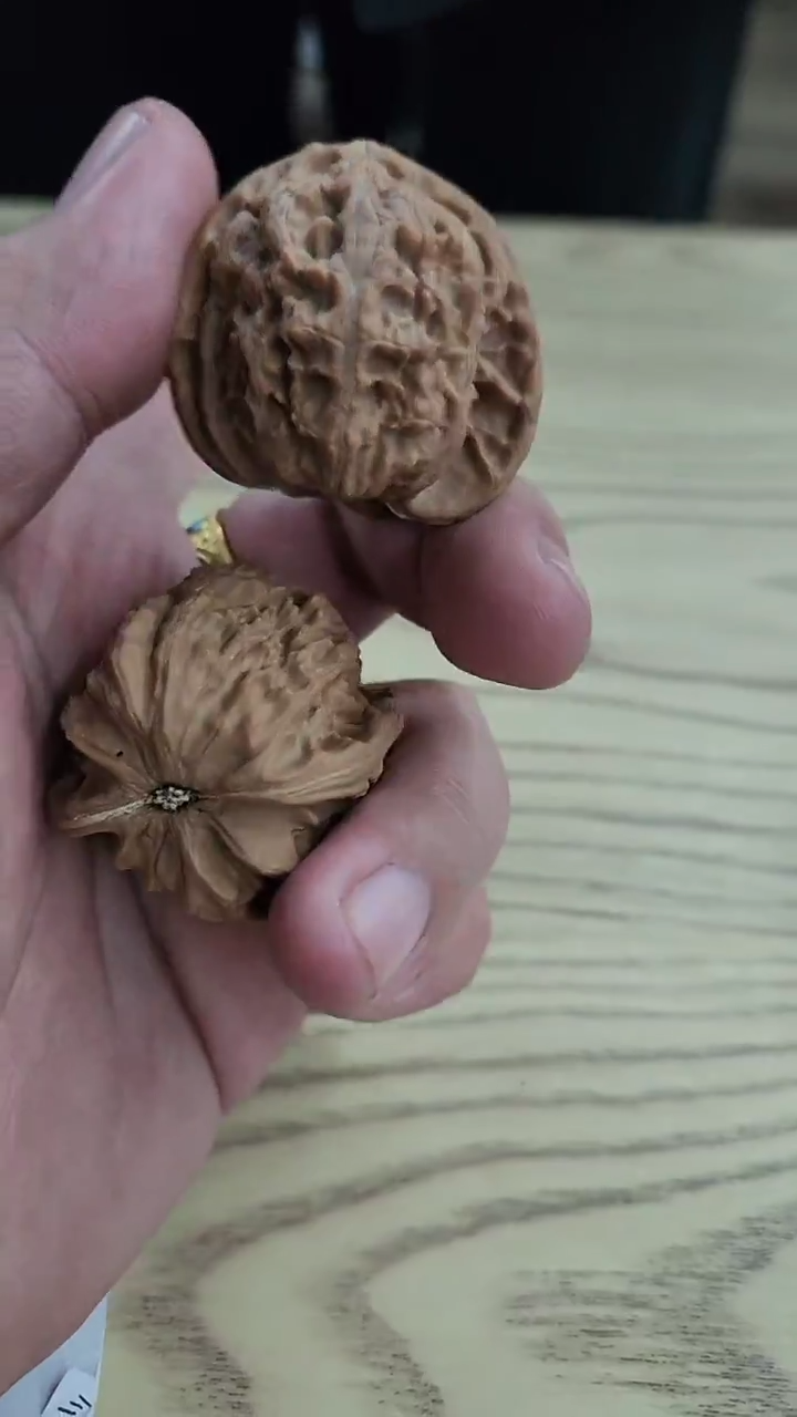 手串/手链核桃【1元福利】拼手速三角白#38