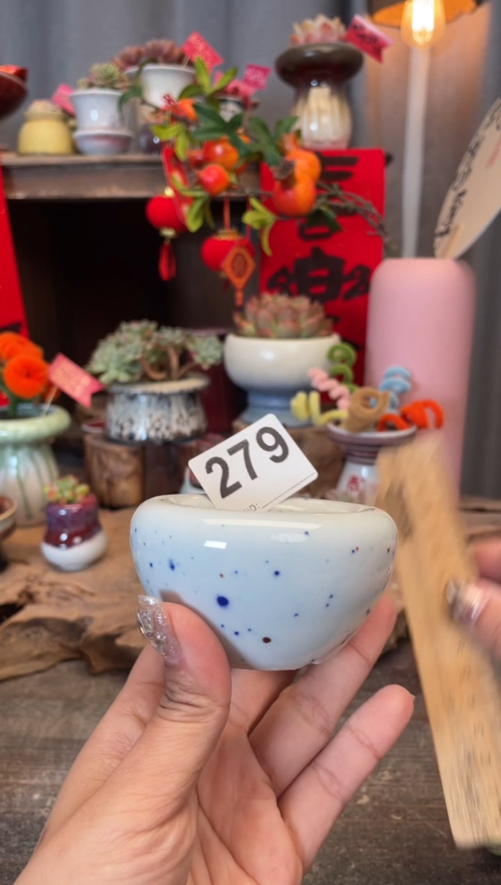 【闪购商品】摆件279知木小芳花盆