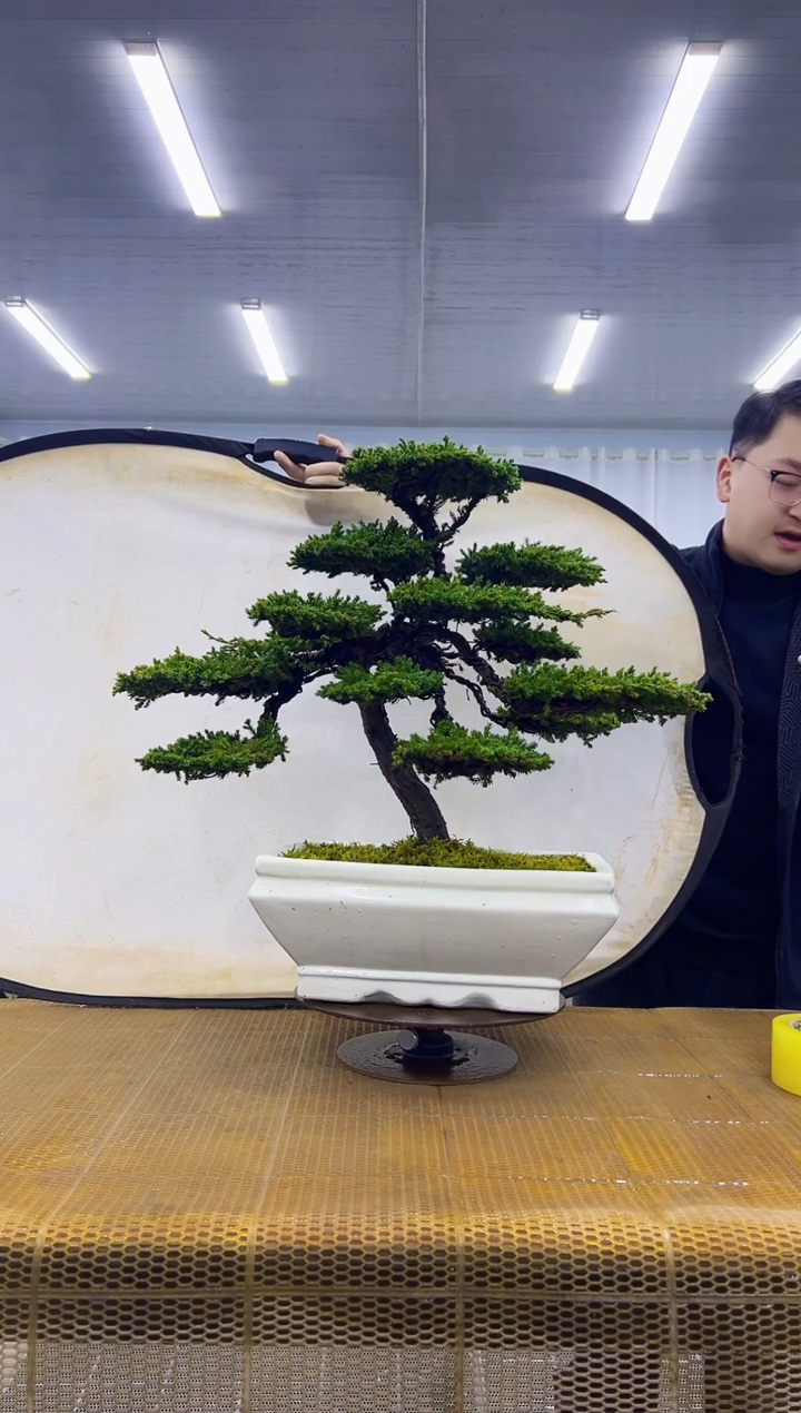 无花朵0000000000000000