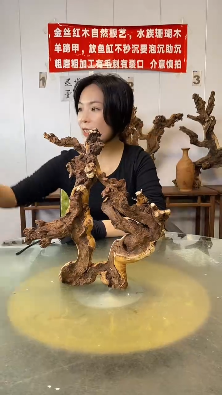 香榧木金丝红木 羊蹄甲