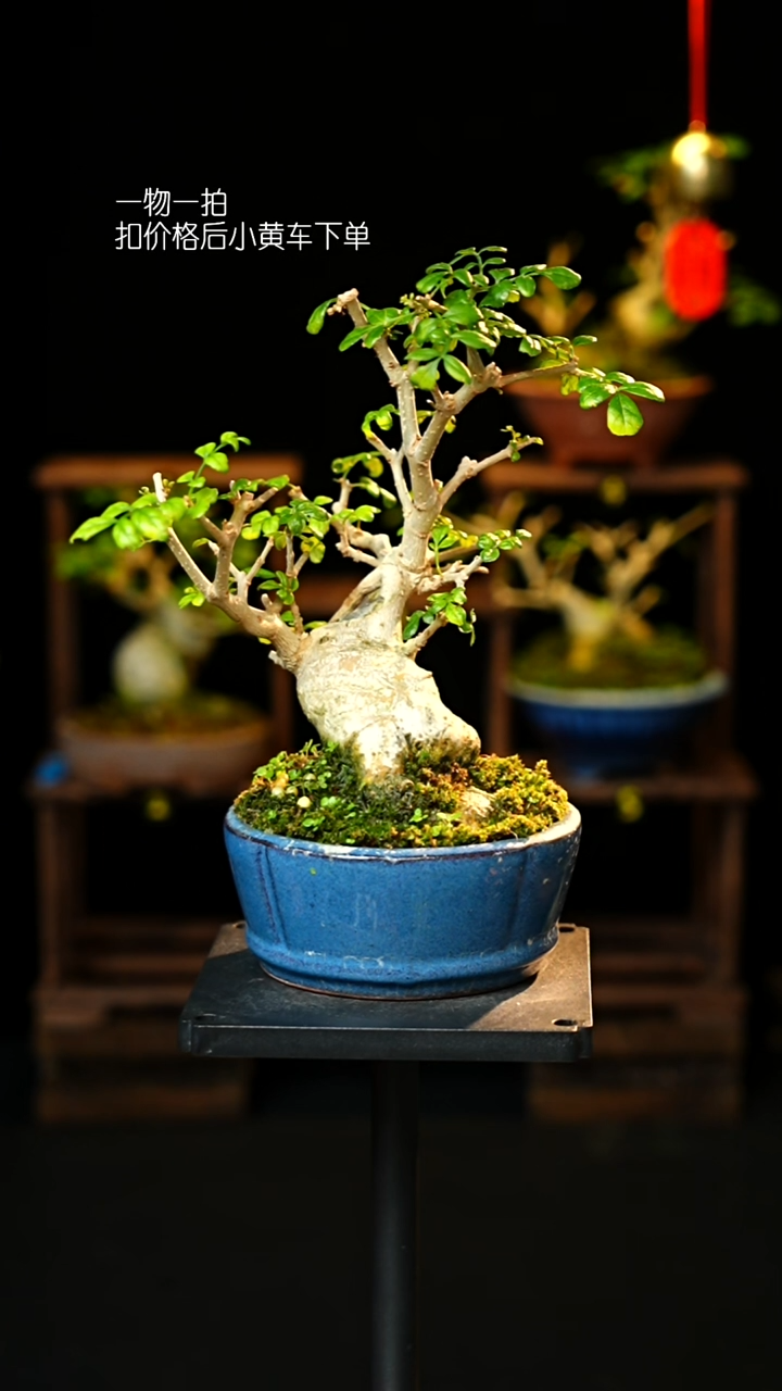 无花朵以实际为准