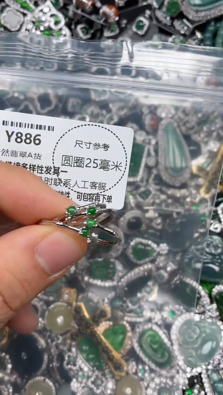 颈饰未镶嵌翡翠Y886戒指 多样性发其二