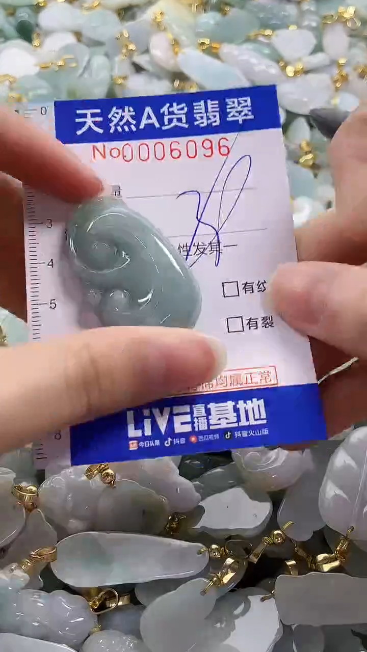 颈饰未镶嵌翡翠纯天然a货翡翠