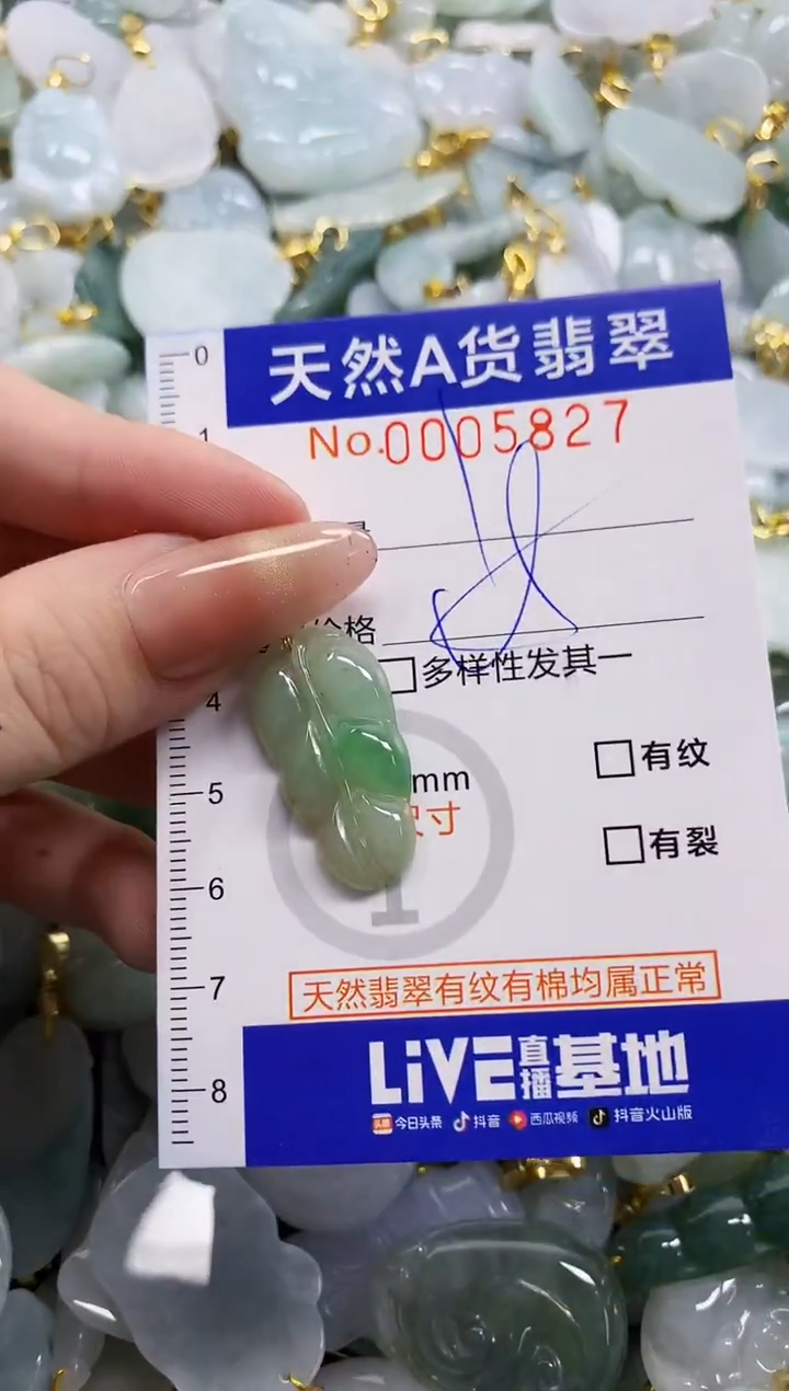 颈饰未镶嵌翡翠天然A货翡翠