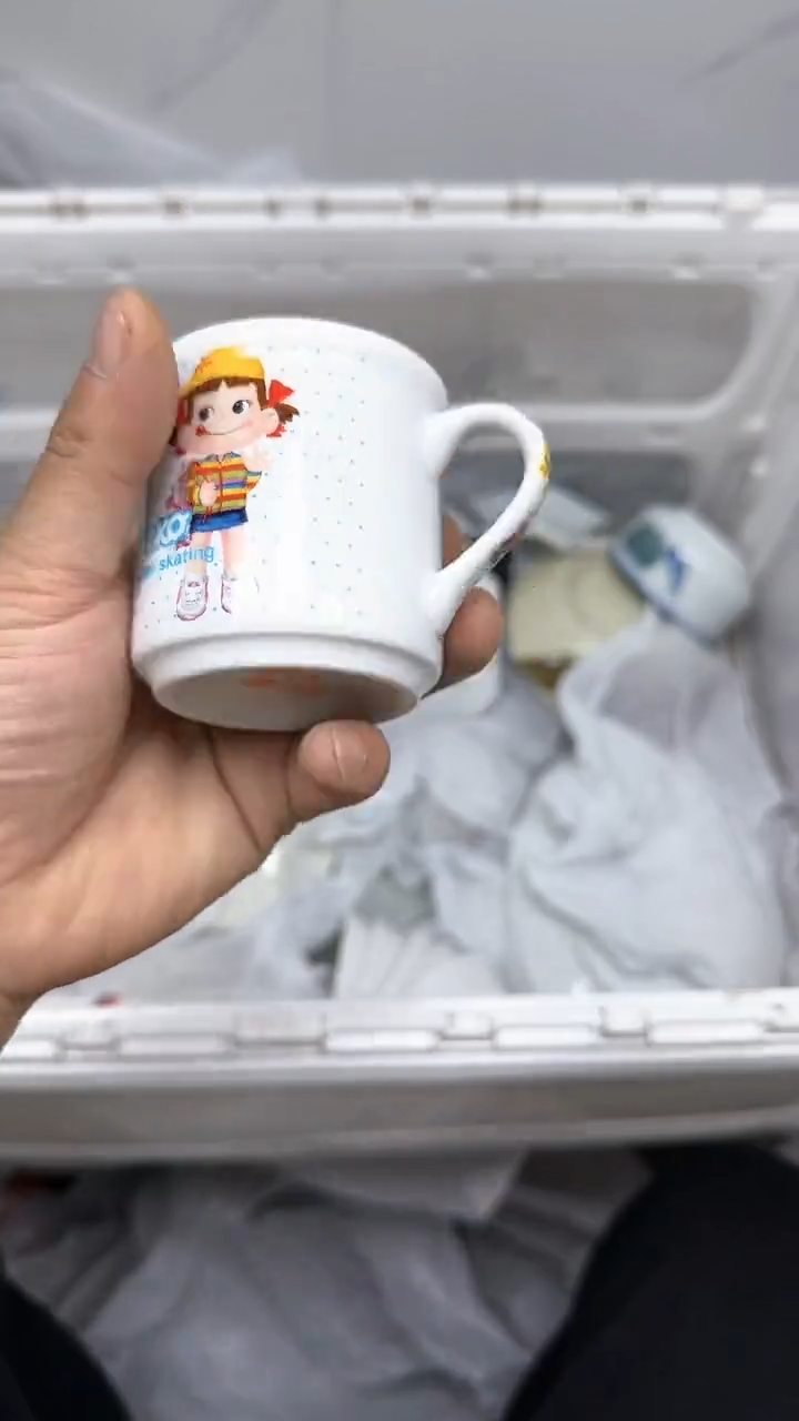 【闪购商品】346回流瓷器默认微瑕，18.8包邮