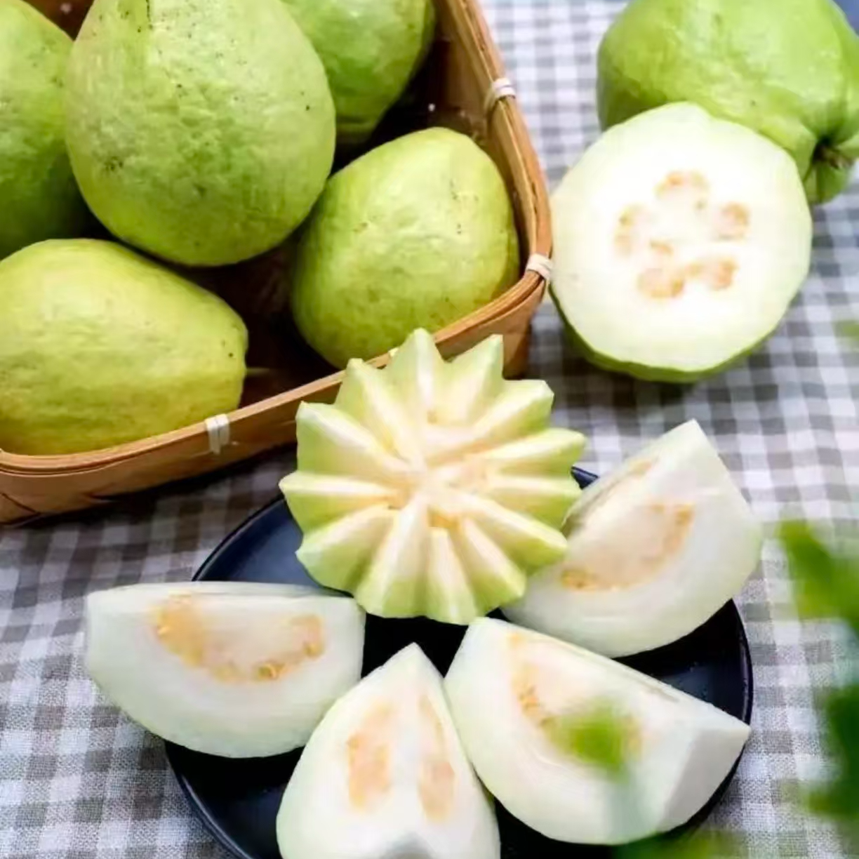 2.5斤【奶油芭乐】软糯丝滑，香甜绵密，净果2.5斤整箱发福建省