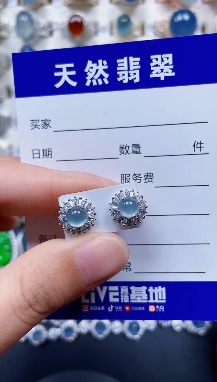 银S925镶嵌翡翠耳饰148