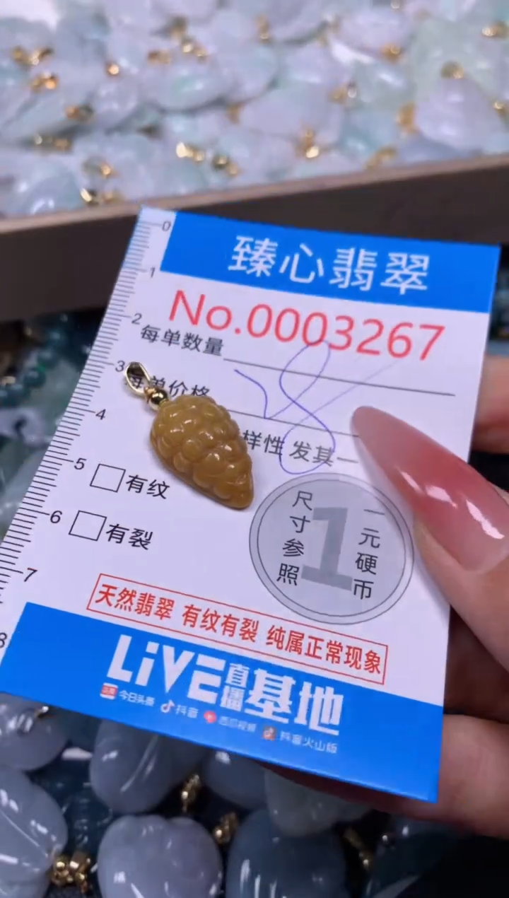 【闪购商品】翡翠颈饰未镶嵌含绳0003267