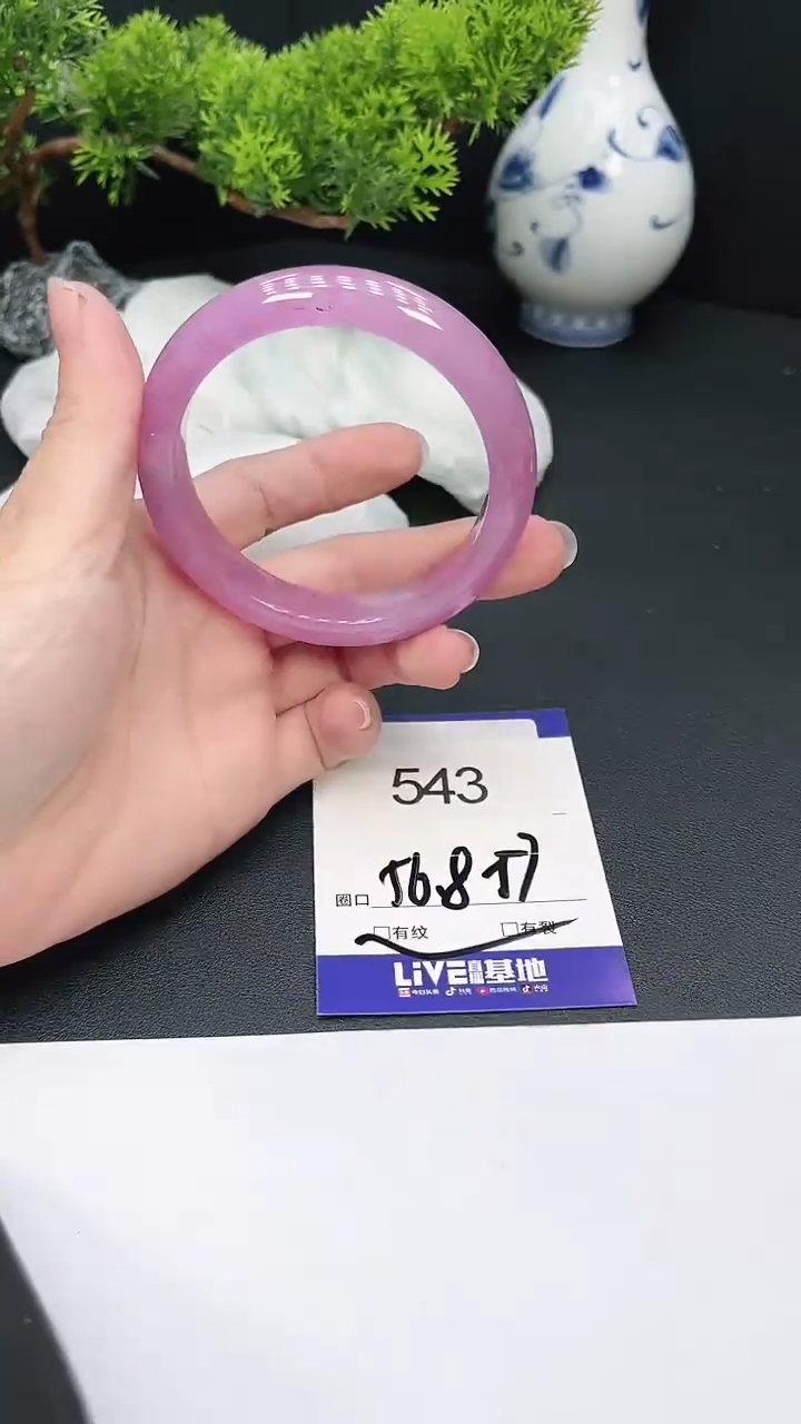 未镶嵌手镯翡翠543