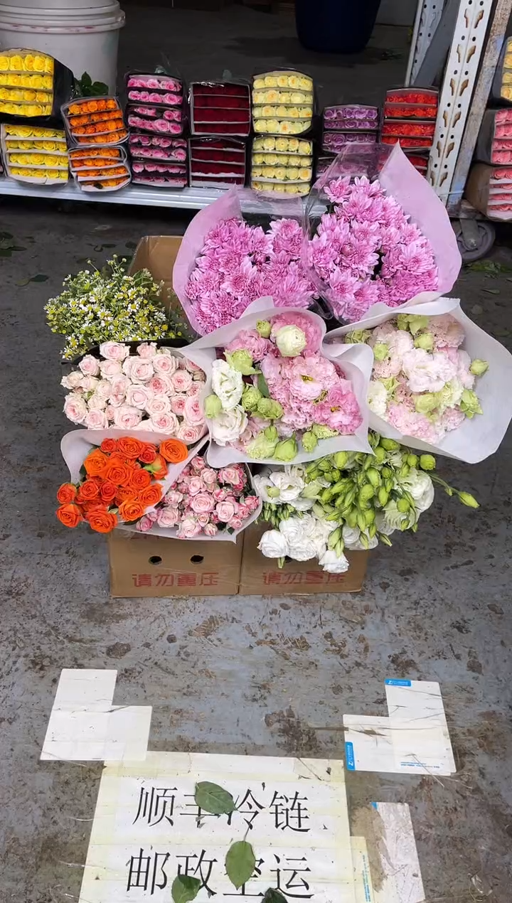 桔梗800克4扎（白+绿+阳光粉+冰淇）粉菊2扎+折射+橙芭比+星悦+洋甘