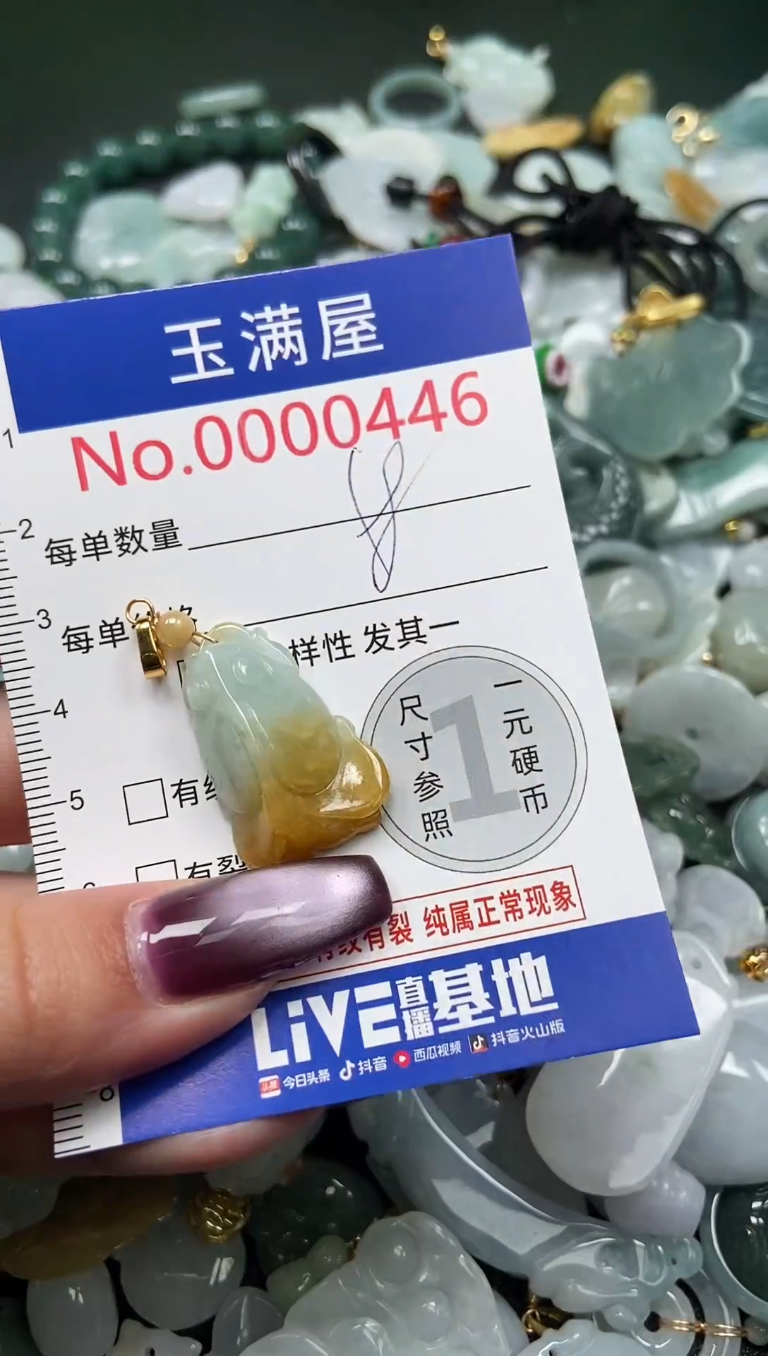 颈饰未镶嵌翡翠446