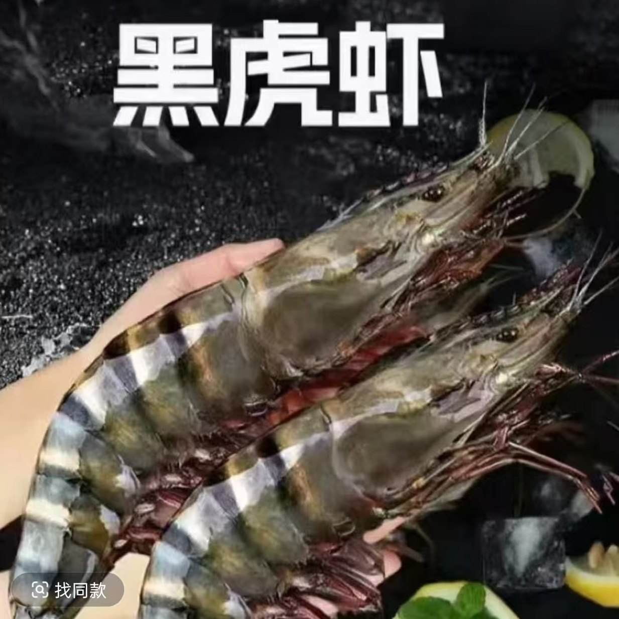 大连本地【黑虎虾】活装活发【保鲜不保活】黑吉辽北京天津顺丰包邮A