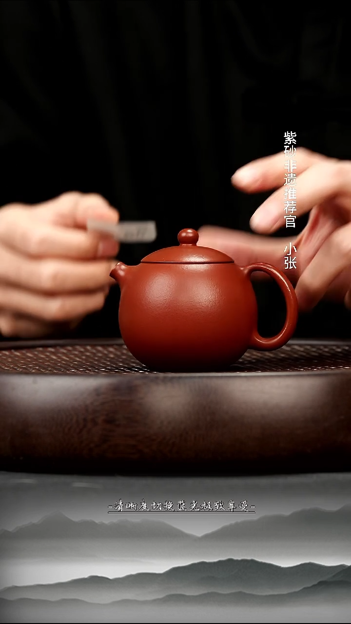 茶壶紫砂10 朱泥河豚西施150cZJ757165