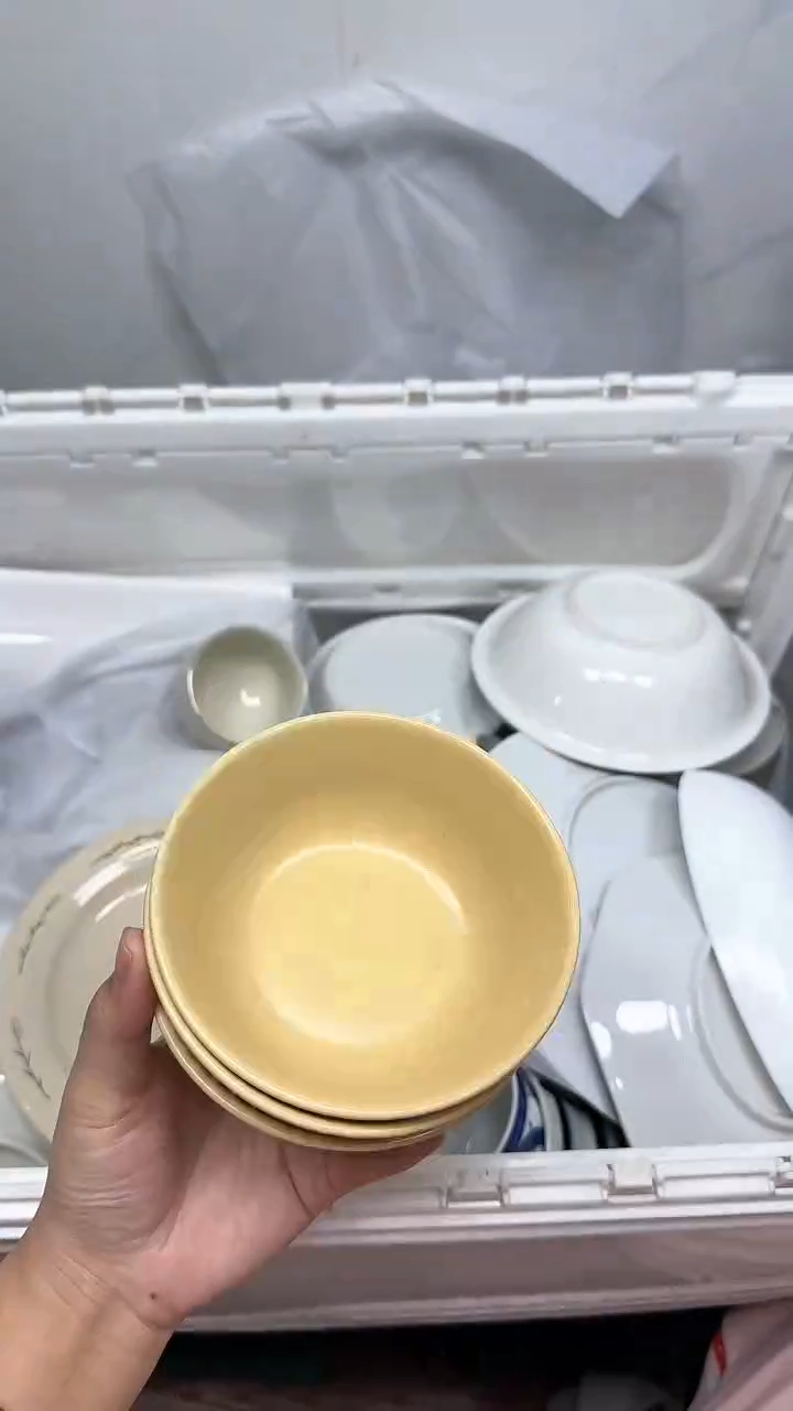 【闪购商品】667回流瓷器默认微瑕，18.8包邮