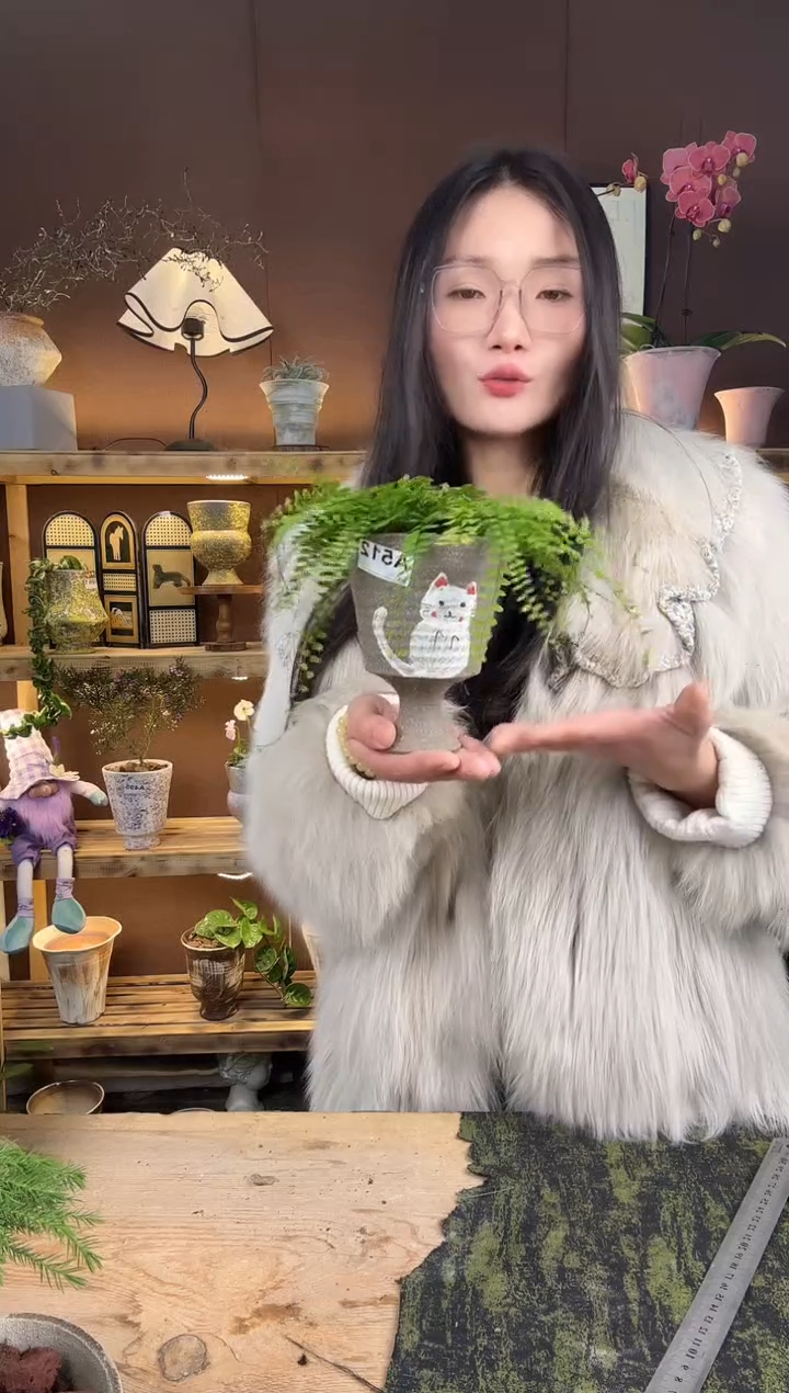 以实际为准曼舞铁线蕨加盆一套512