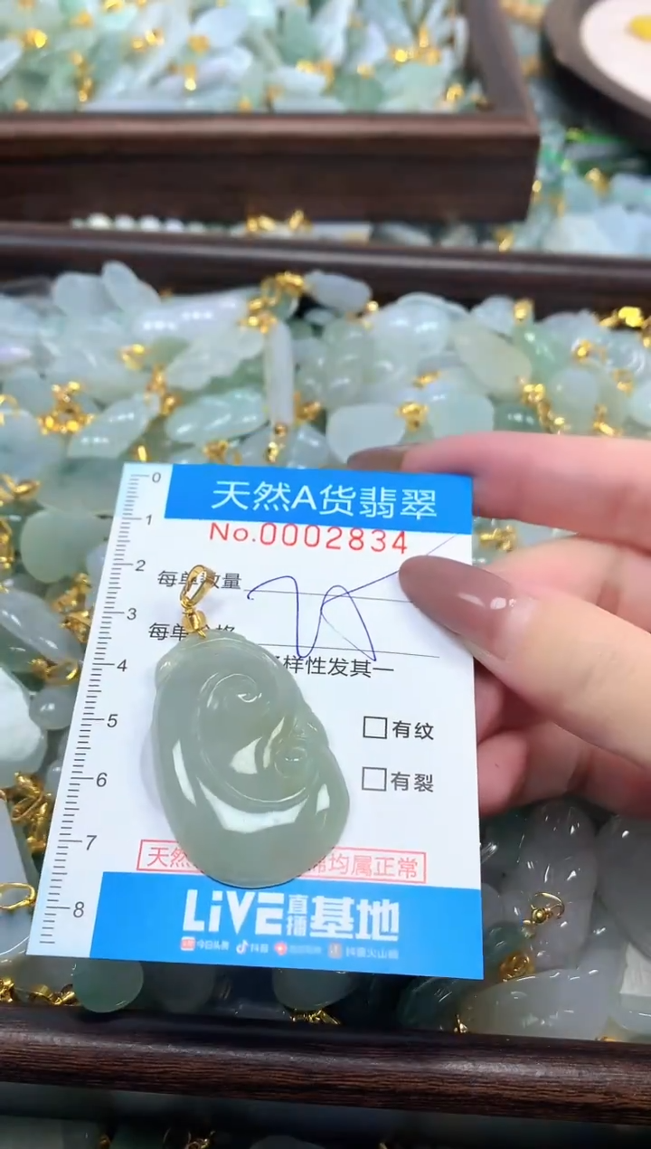 颈饰未镶嵌翡翠净货挂件-2834