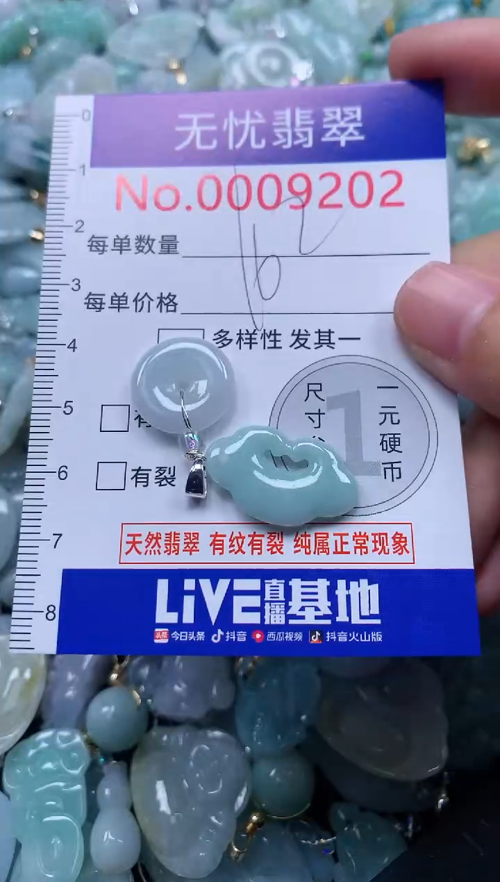 颈饰未镶嵌翡翠9202