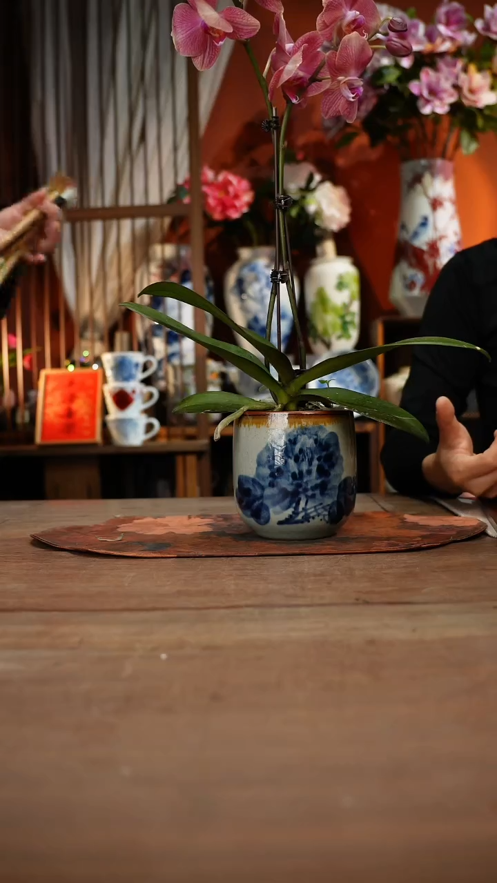 当代高温釉下彩手绘陶瓷餐具