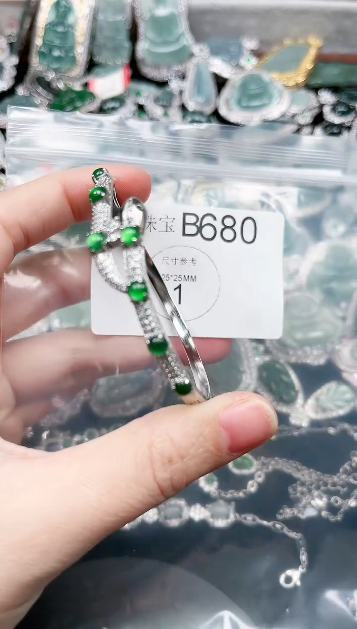 【闪购商品】翡翠颈饰未镶嵌赠皮绳680