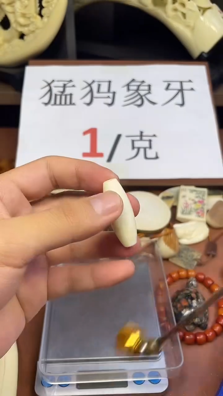 猛犸秋满脑天珠++