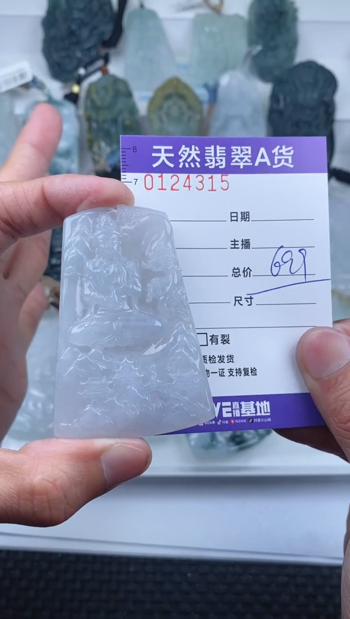 【闪购商品】翡翠颈饰未镶嵌         315