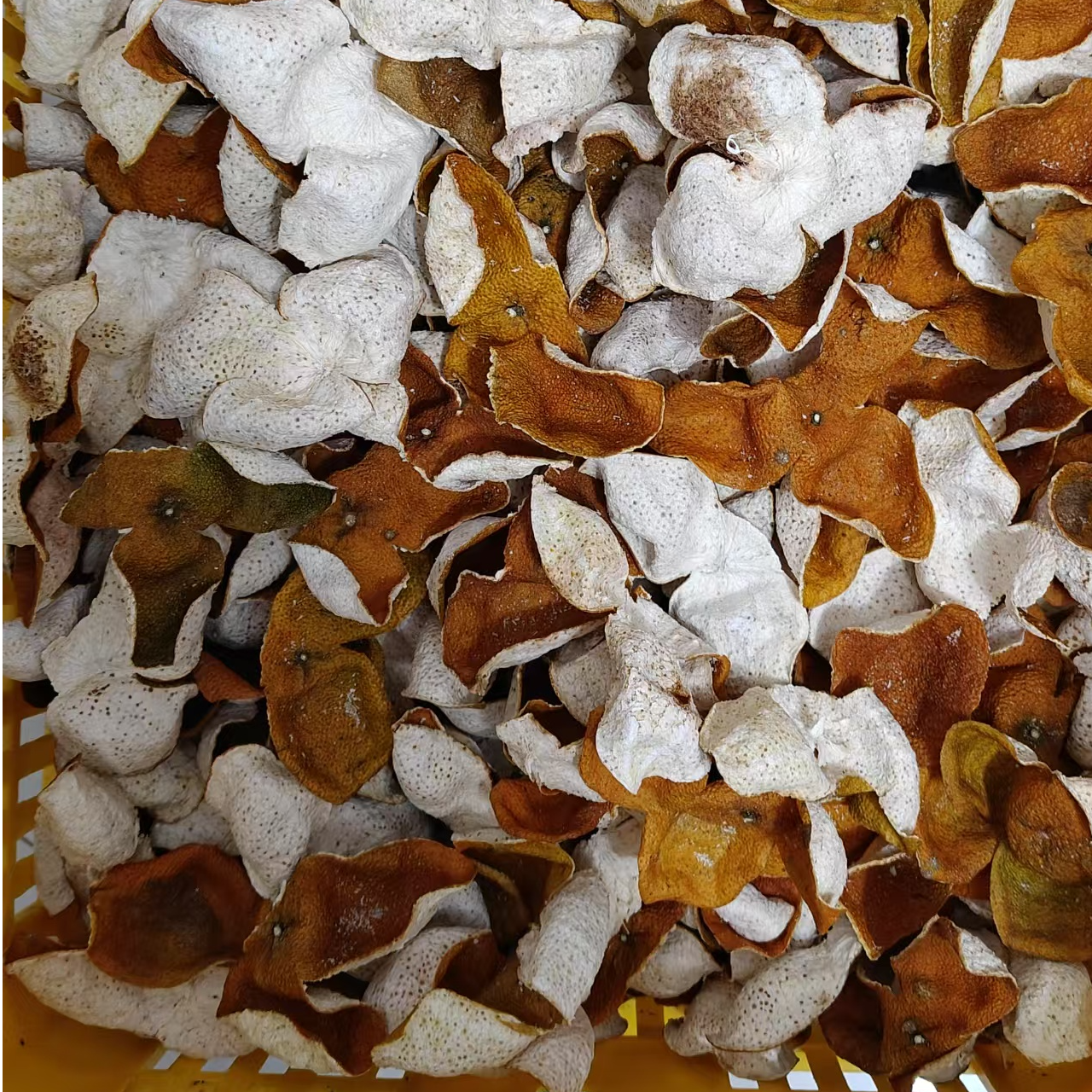 浦北2025年断皮链接