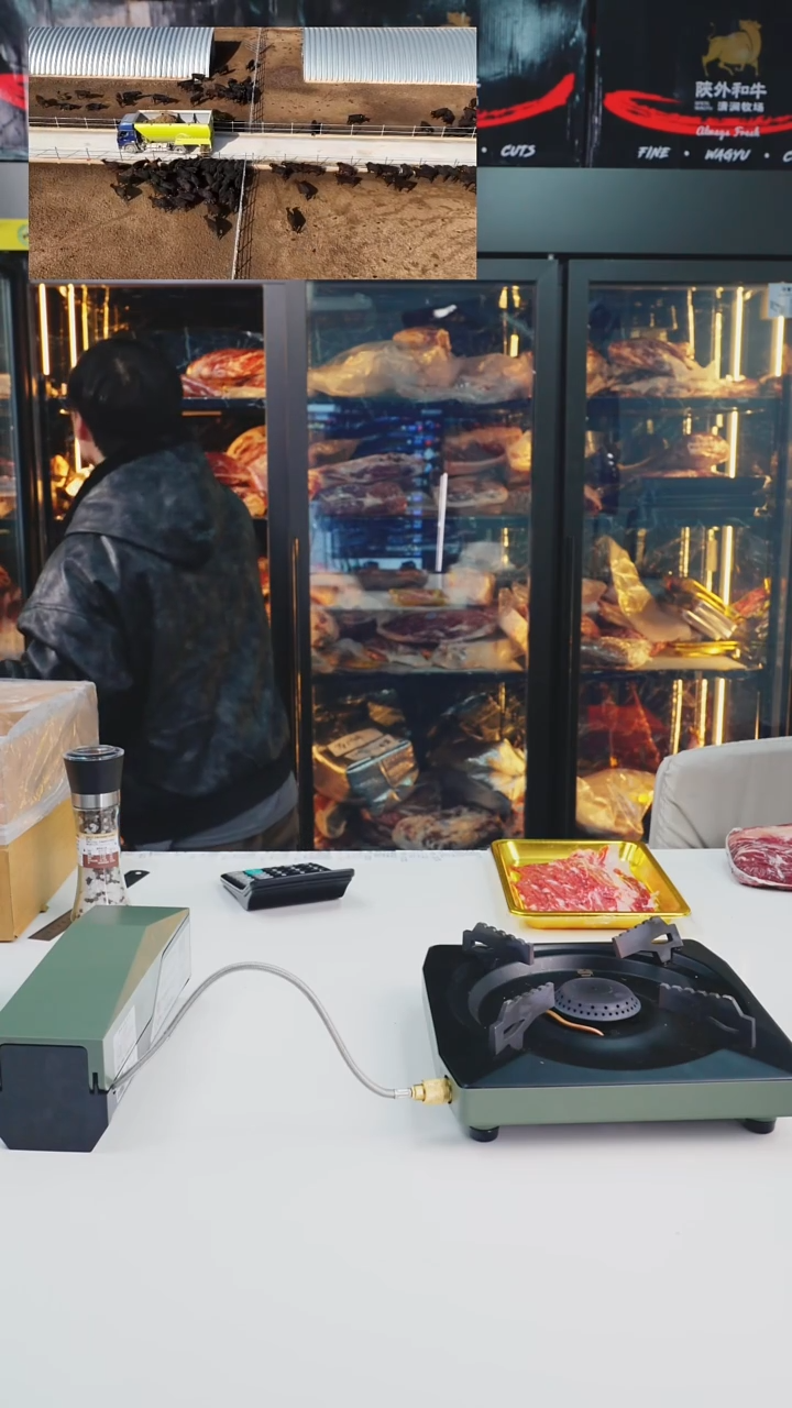 24个月中国大陆2kg  a1上脑