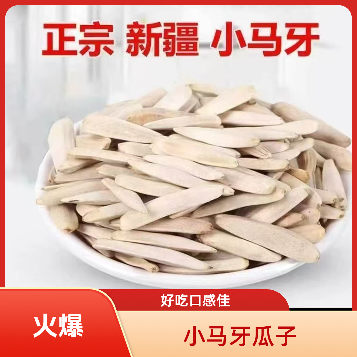 【精选】新疆牙签马牙长粒五香炒熟休闲炒货瓜子CX