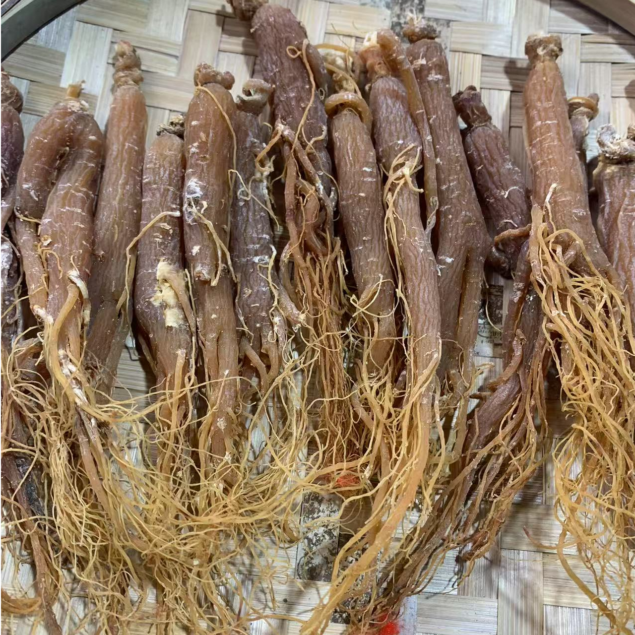 2【百-年-红-参】净含量：100g-500g【小英现收】