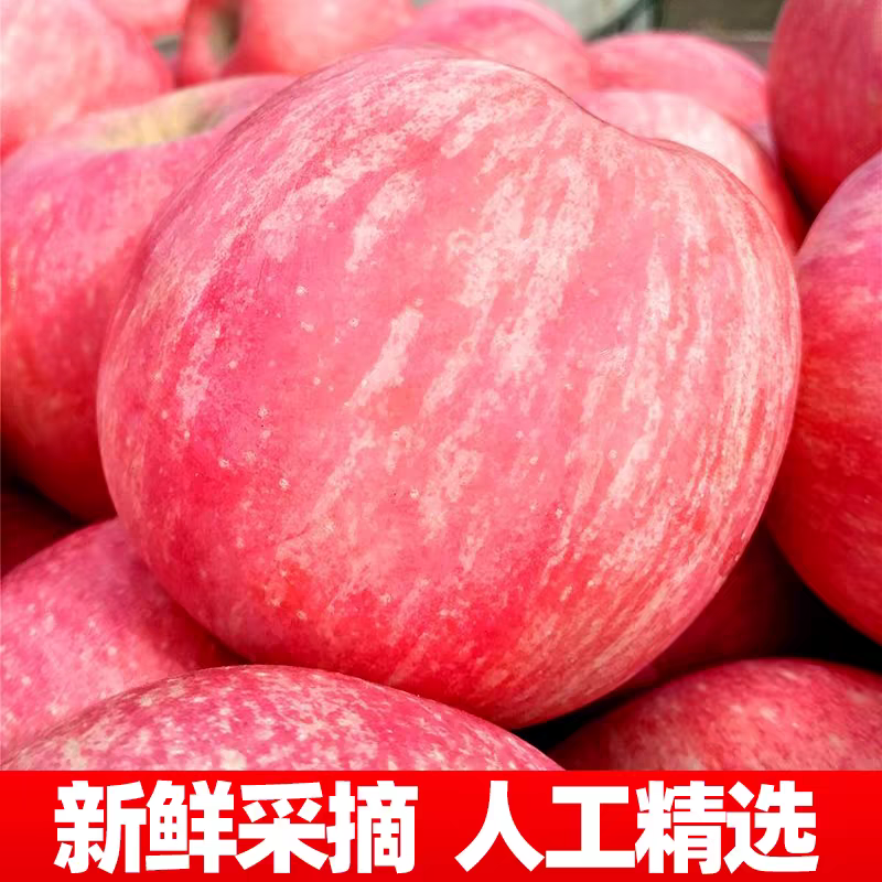 （葡萄少爷助农）栖霞红富士丑苹果脆甜爆汁当季新采整箱包邮