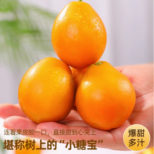 【常德市包邮】金桔新鲜水果自家果园鲜果纯甜多汁脆甜应季3斤包邮