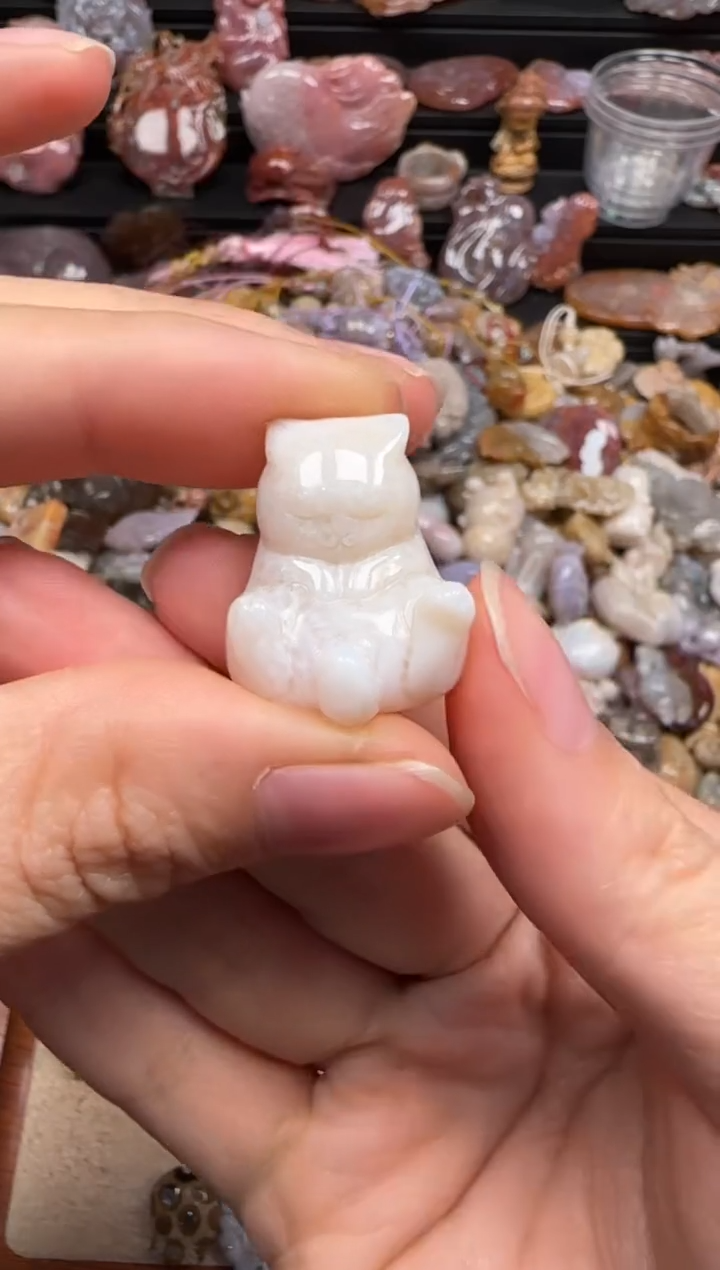 【闪购商品】硅化珊瑚（珊瑚玉）颈饰未镶嵌256